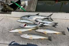 455017113_468571319331830_4848799042072095549_n